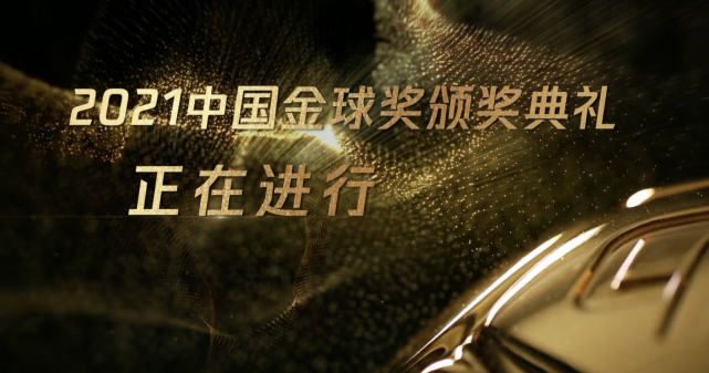 国产精品毛片在线完整版的